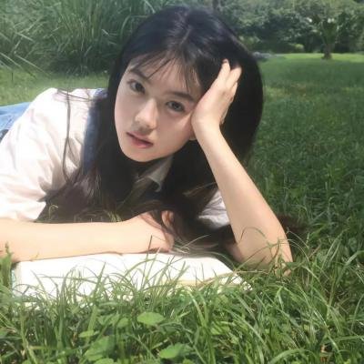 鸟儿们的奇幻冒险